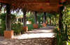 Delta Sharm Resort 